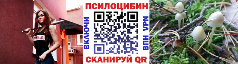 Псилоцибиновые грибы мицелий  blacksprut зеркало  Дорогобуж 